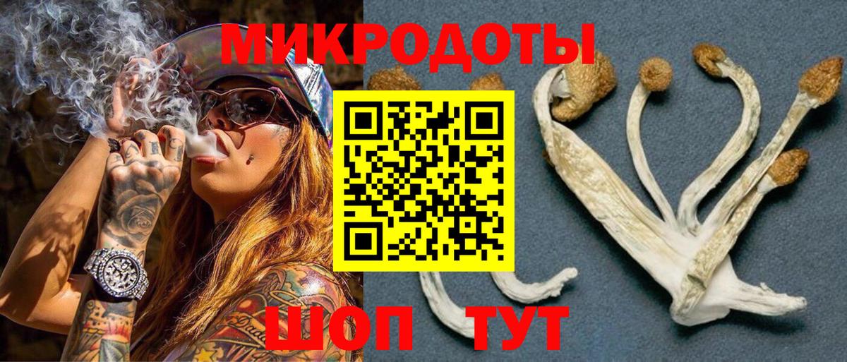 Вологда  Галлюциногенные грибы GOLDEN TEACHER  Вход с VPN 